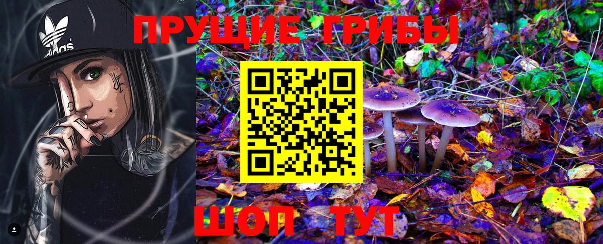 Галлюциногенные грибы Cubensis  Вход с VPN  где купить   Россия 
